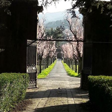 Ai Chiosi Affittacamere Pontremoli Luaran gambar
